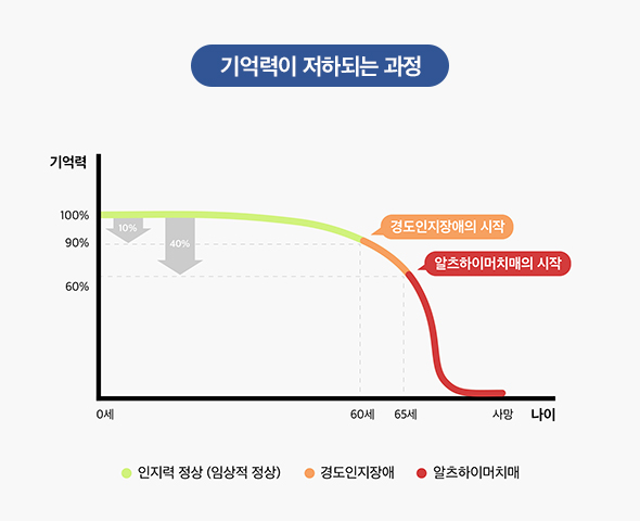 기억력이 저하되는 과정 그래프